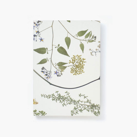 A5 notebook - Aseedonclöud 04
