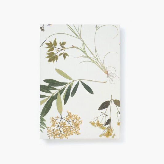 A5 notebook -  Aseedonclöud 04