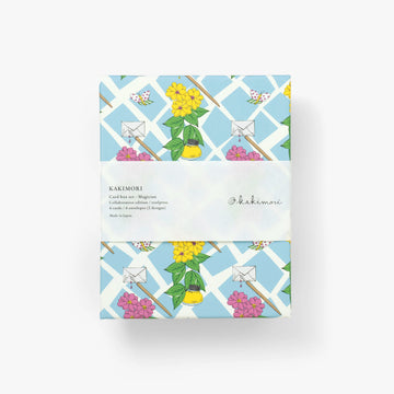 Card box set - Toolpress/Magician