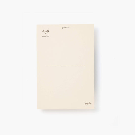 Card - Grape hyacinth