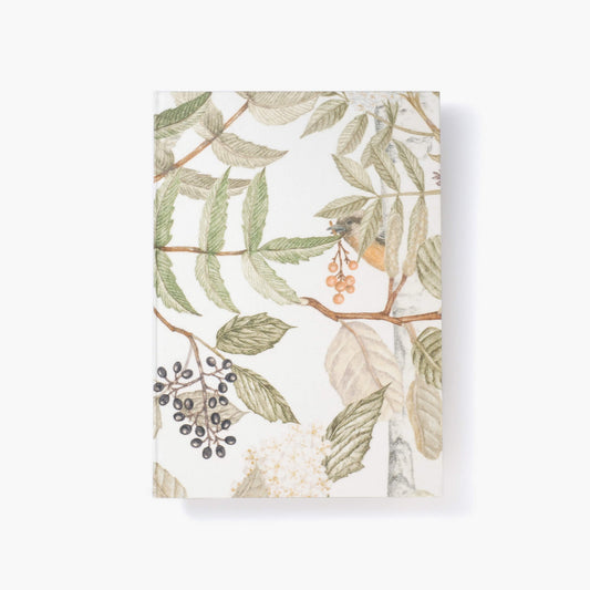 A5 notebook - Aseedonclöud 01