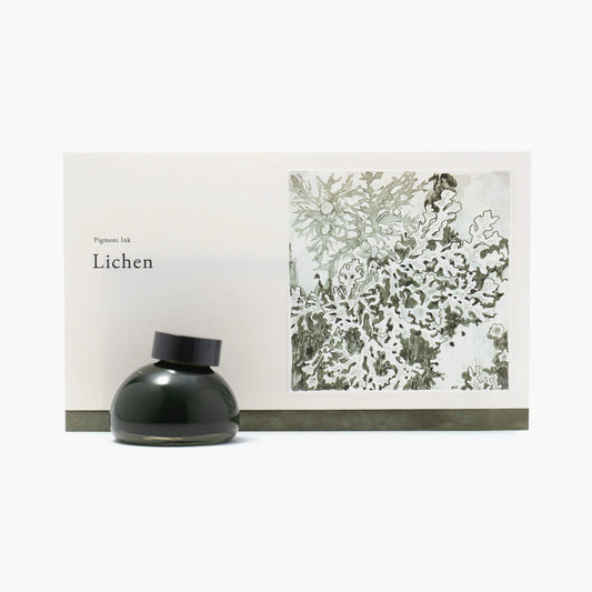 A colour to remember - Lichen