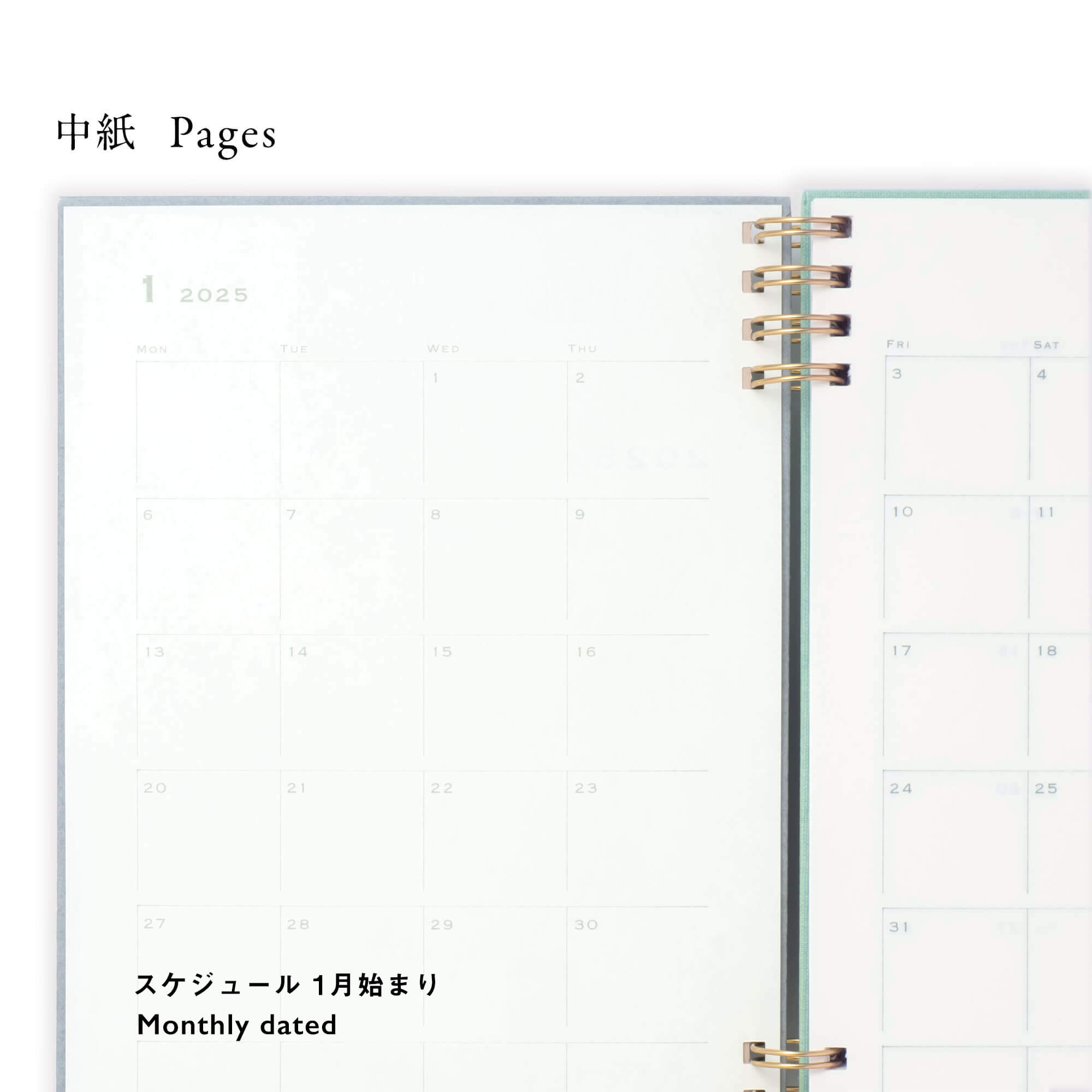 色紙軸 軸先在 色紙 ６枚 何時でも 掲載可能な状態である。 色紙軸 軸先在 色紙 6枚 何時でも 掲載可能な状態である。